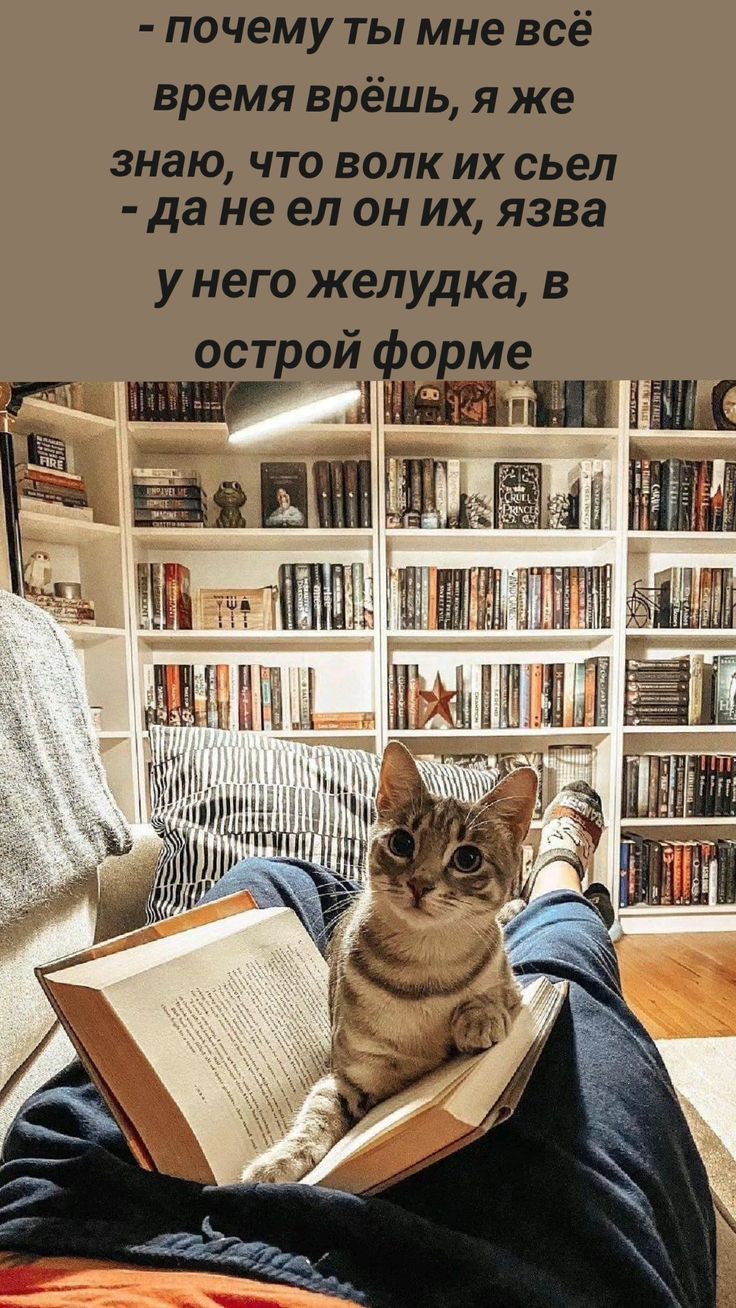 - почему ты мне всё время врёшь, я же знаю, что волк их съел
- да не ел он их, язва у него желудка, в остром формате