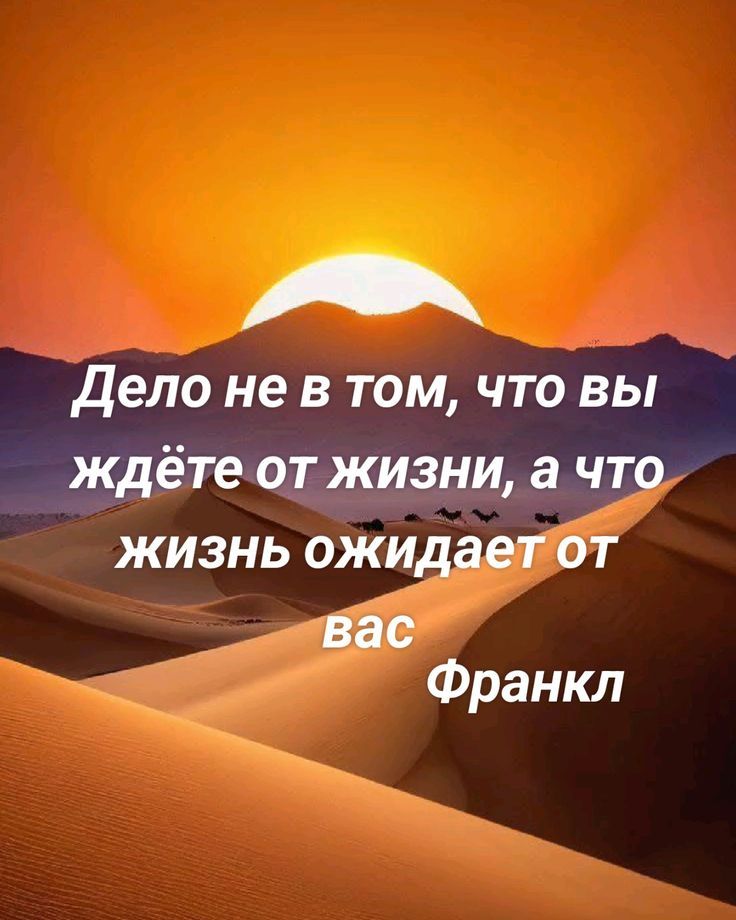 Дело не в том, что вы ждёте от жизни, а что жизнь ожидает от вас
Франкл