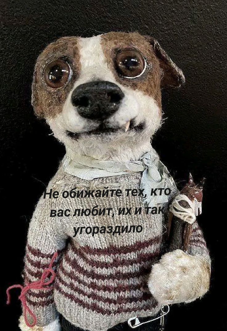 Не обижайте тех, кто любит вас; их и так угородило.