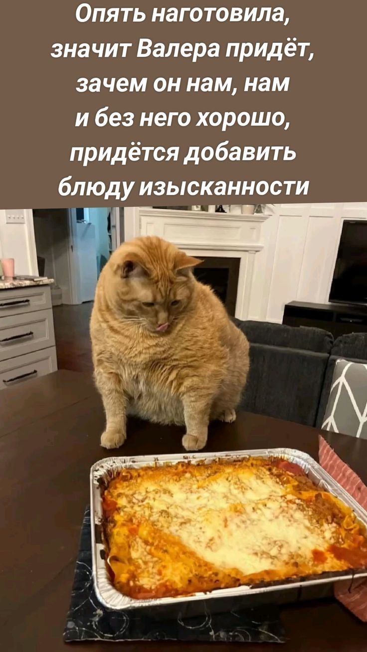 Опять наготовила, значит Валера придёт, зачем он нам, нам и без него хорошо, придётся добавить блюду изысканности