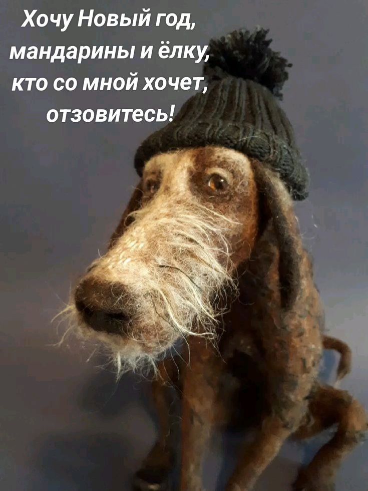 Хочу Новый год, мандарины и ёлку, кто со мной хочет, отзовитесь!