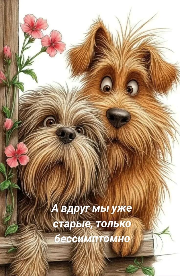 А вдруг мы уже старые, только бессимптомно