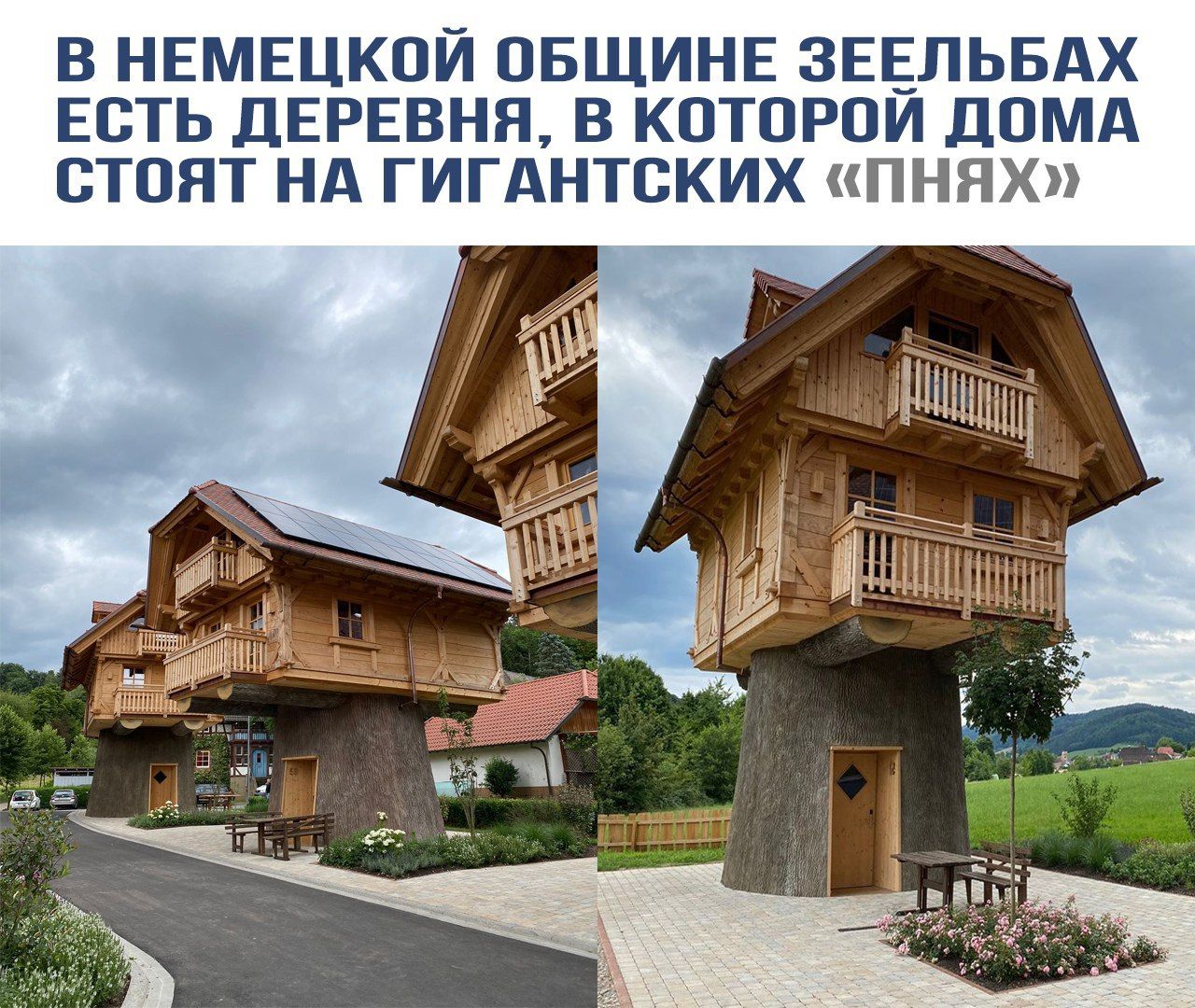 В немецкой общине Зельльбах есть деревня, в которой дома стоят на гигантских «пнях»