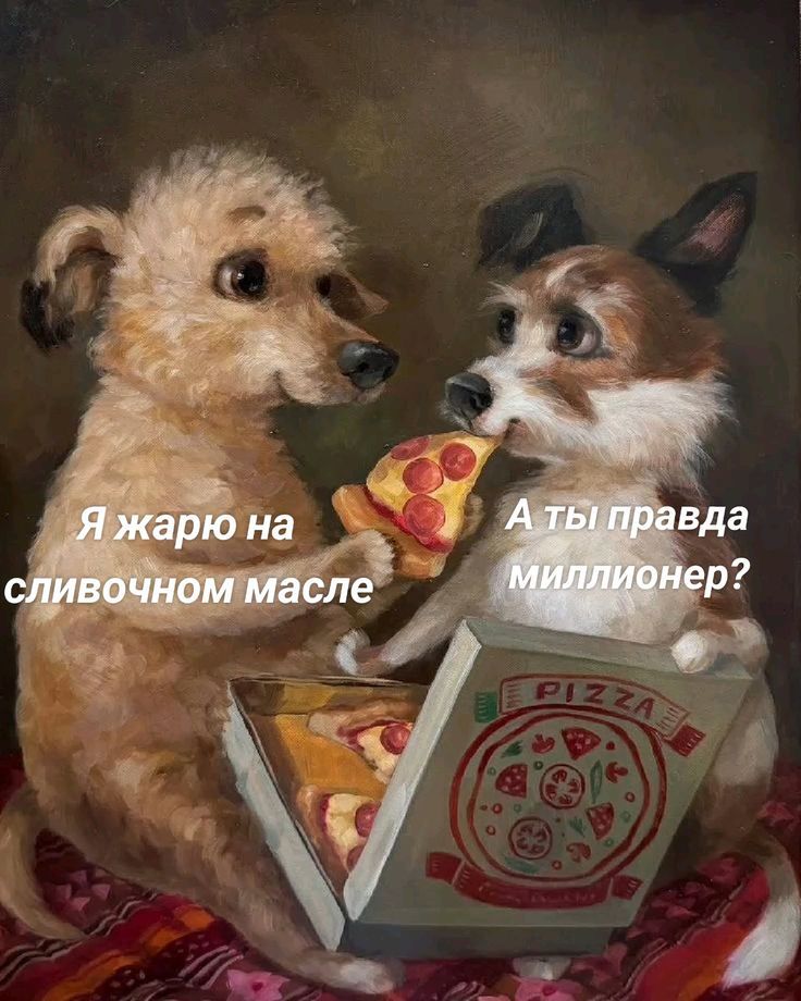 Я жарю на сливочном масле
А ты правда миллионер?