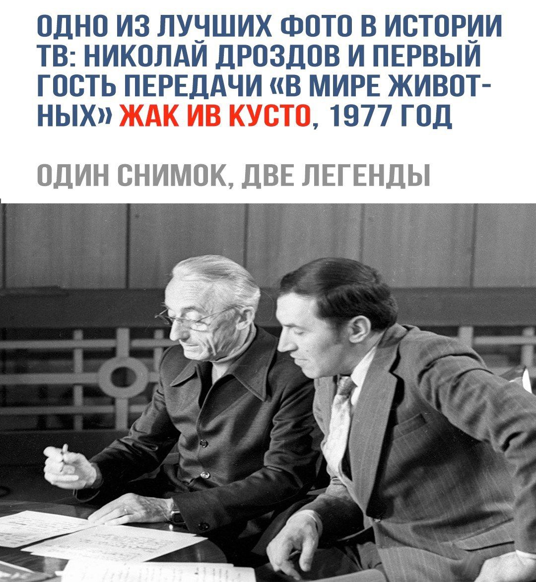 ОДНО ИЗ ЛУЧШИХ ФОТО В ИСТОРИИ ТВ: НИКОЛАЙ ДРОЗДОВ И ПЕРВЫЙ ГОСТЬ ПЕРЕДАЧИ «В МИРЕ ЖИВОТНЫХ» ЖАК ИВ КУСТО, 1977 ГОД
ОДИН СНИМОК, ДВЕ ЛЕГЕНДЫ