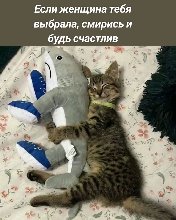 Если женщина тебя выбрала, смирись и будь счастлив