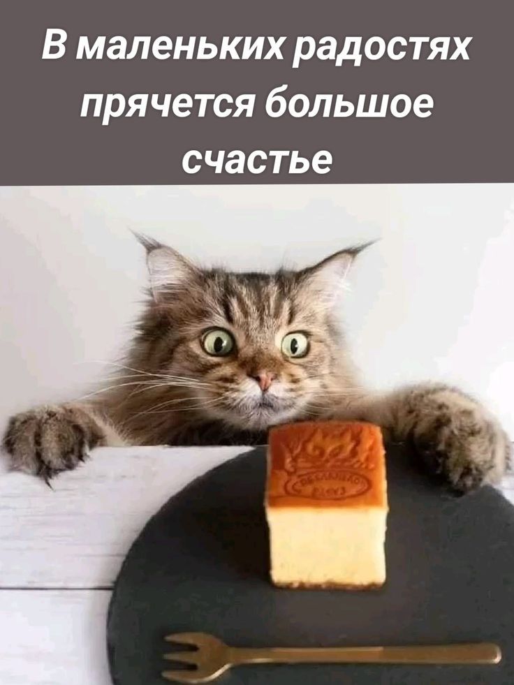 В маленьких радостях прячется большое счастье