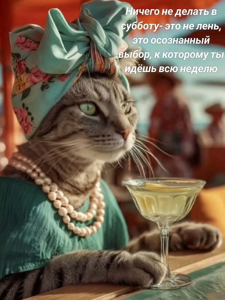 Ничего не делать в субботу- это не лень, это осознанный выбор, к которому ты идёшь всю неделю