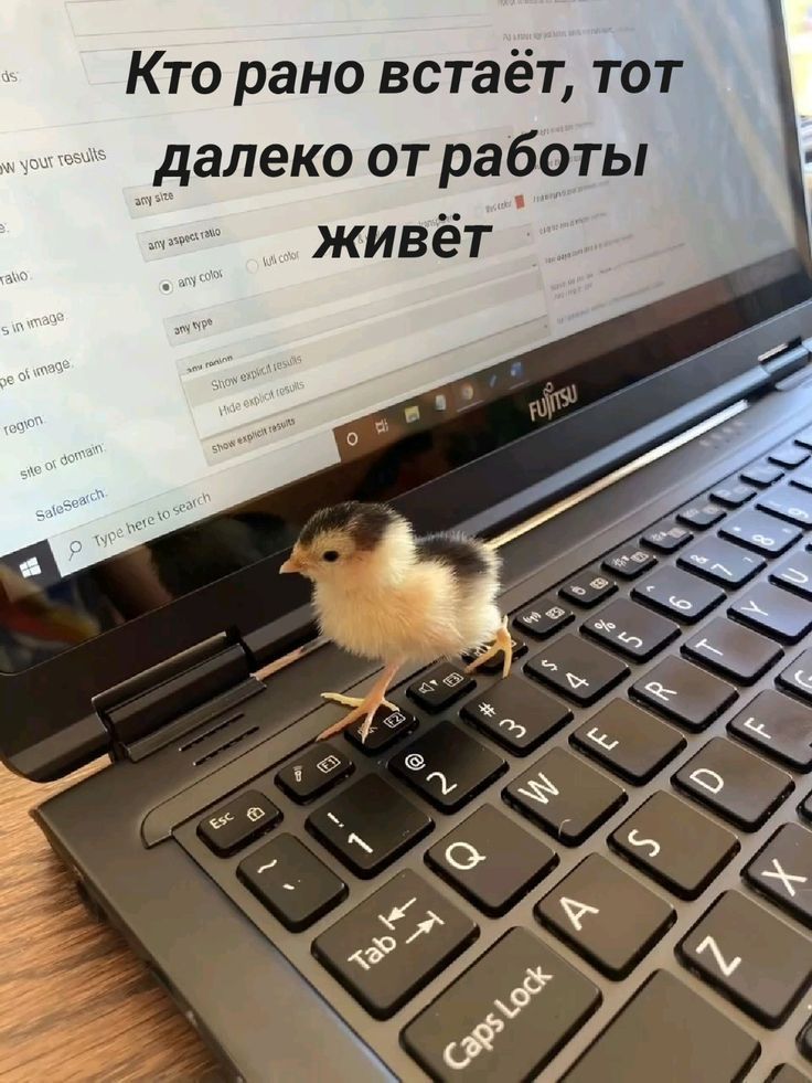 Кто рано встаёт, тот далеко от работы живёт