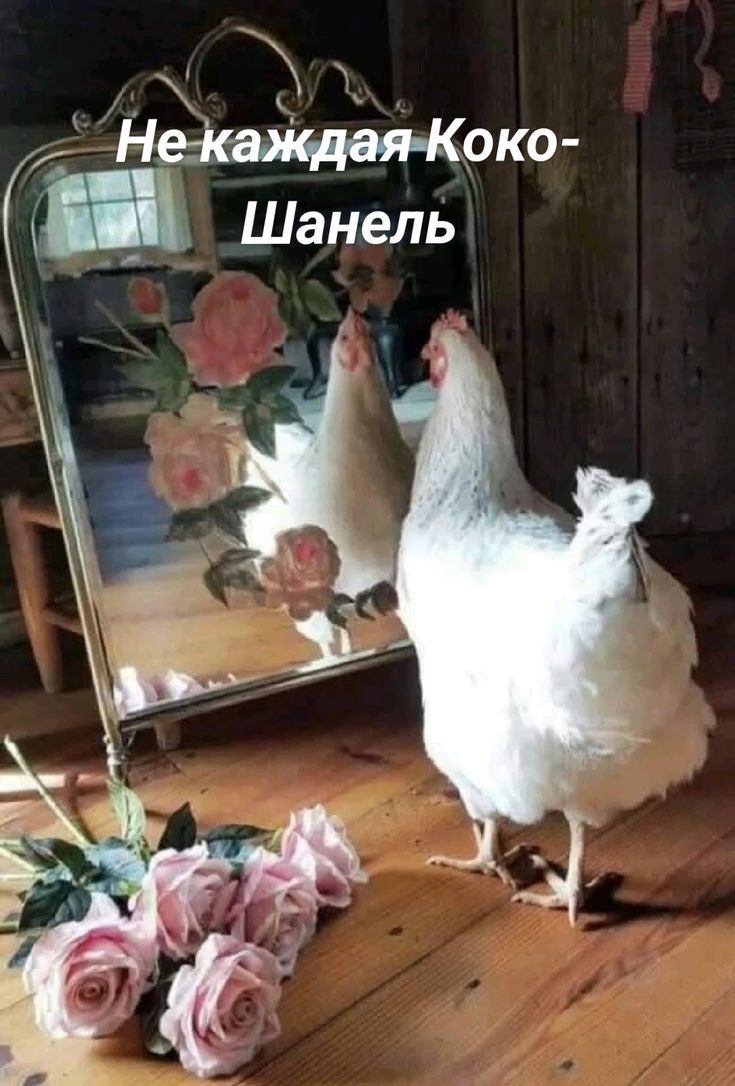 Не каждая Коко-Шанель