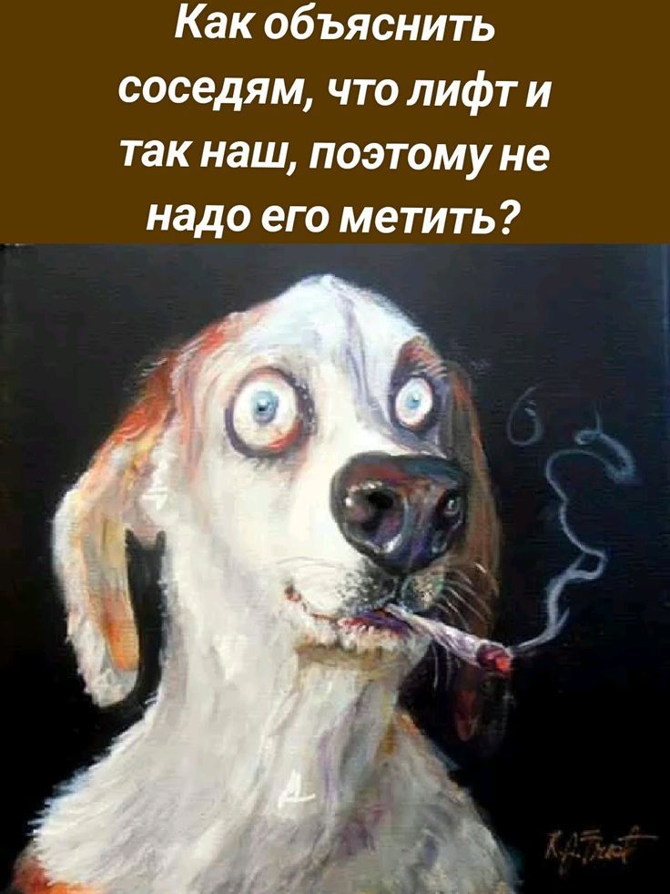 Как объяснить соседям, что лифт и так наш, поэтому не надо его метить?