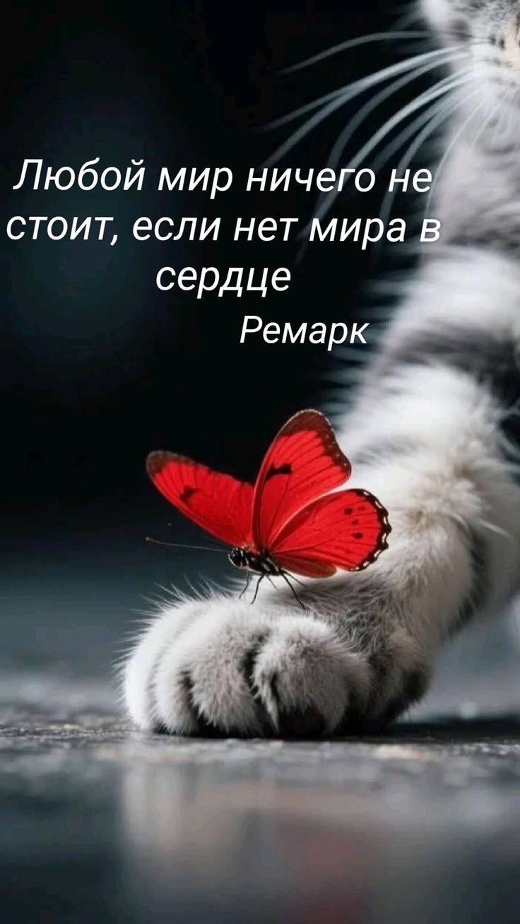 Любой мир ничего не стоит, если нет мира в сердце
Ремарк