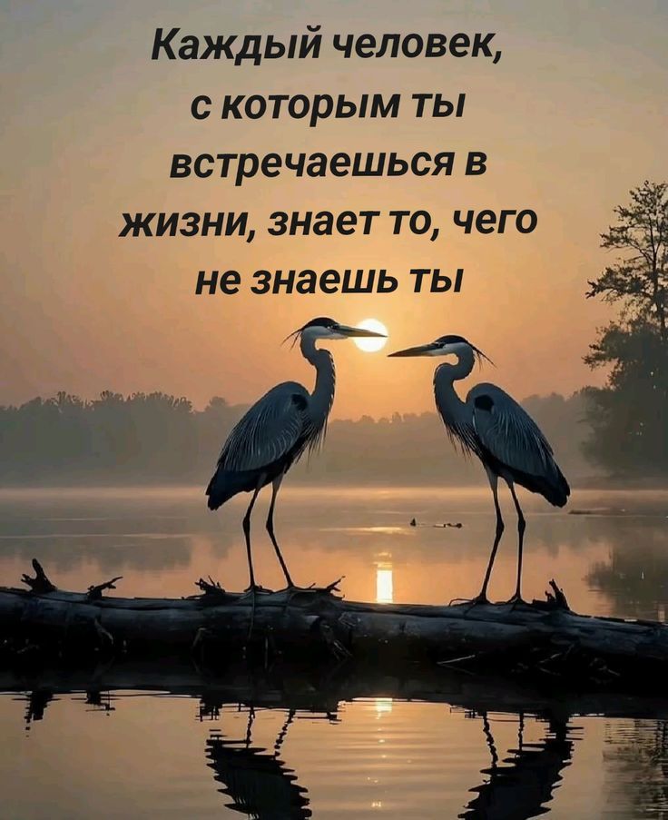 Каждый человек, с которым ты встречаешься в жизни, знает то, чего не знаешь ты