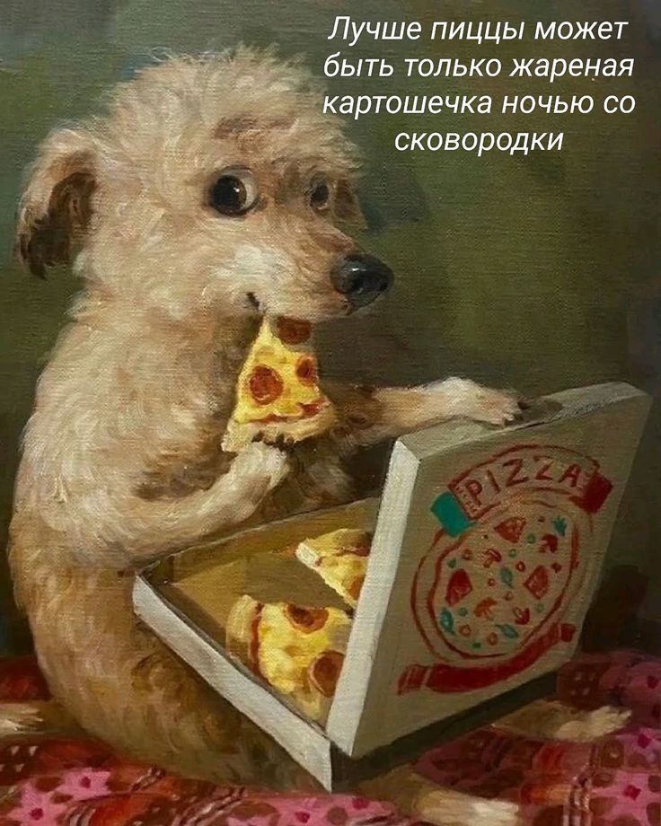 Лучше пиццы может быть только жареная картошечка ночью со сковородки