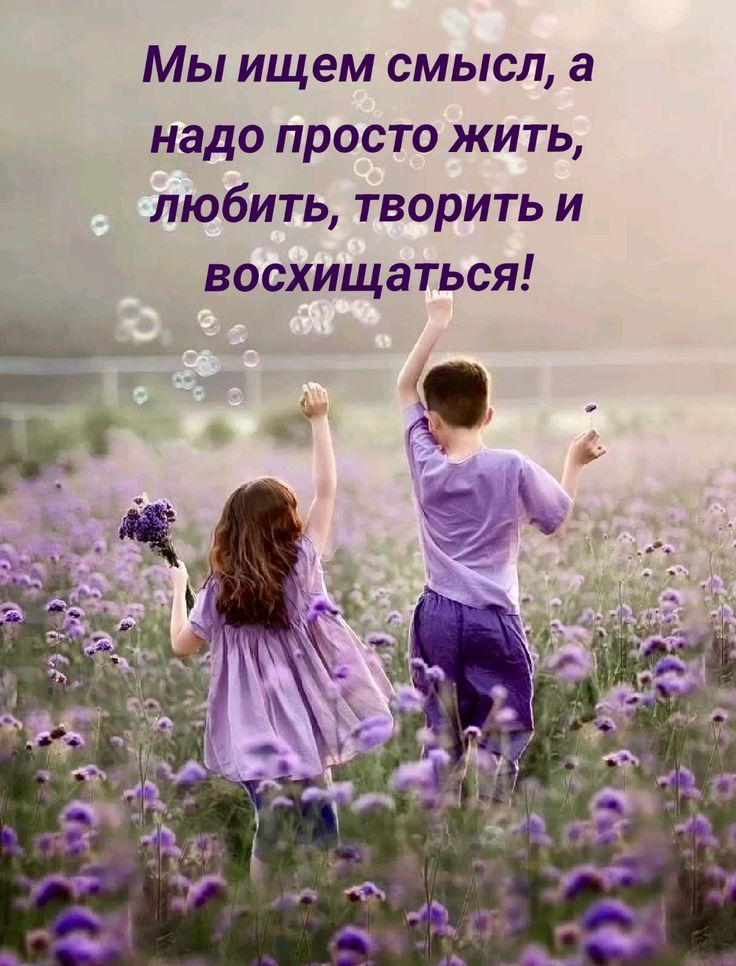 Мы ищем смысл, а надо просто жить, любить, творить и восхищаться!