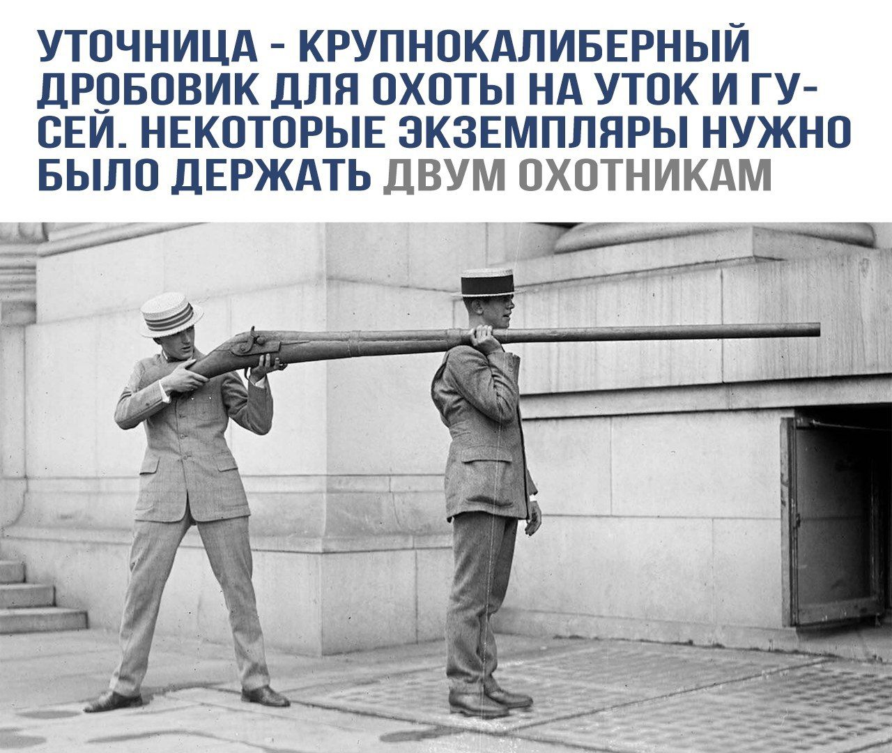 Уточница - крупнокалиберный дробовик для охоты на уток и гусям. Некоторые экземпляры нужно было держать двум охотникам