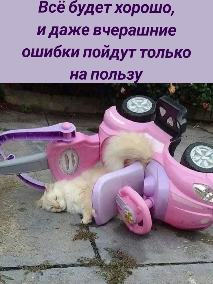 Всё будет хорошо, и даже вчерашние ошибки пойдут только на пользу