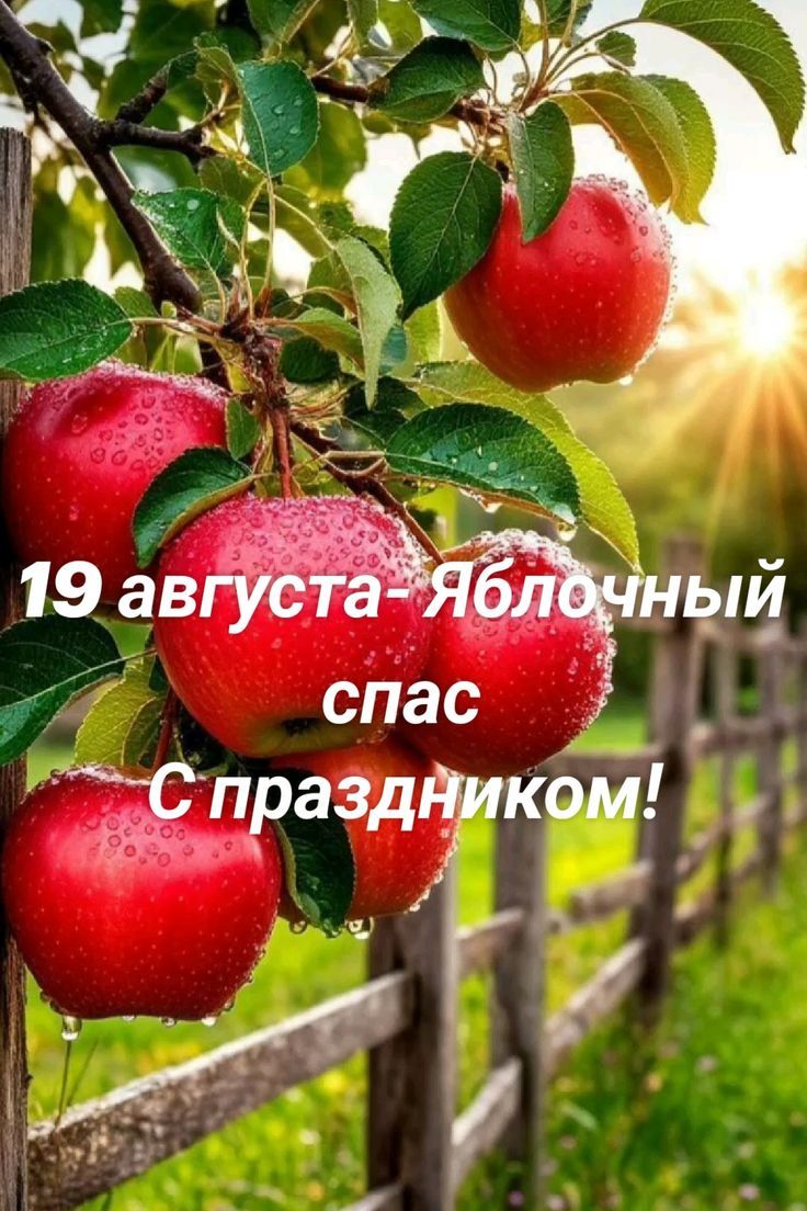 19 августа - Яблочный спас С праздником!