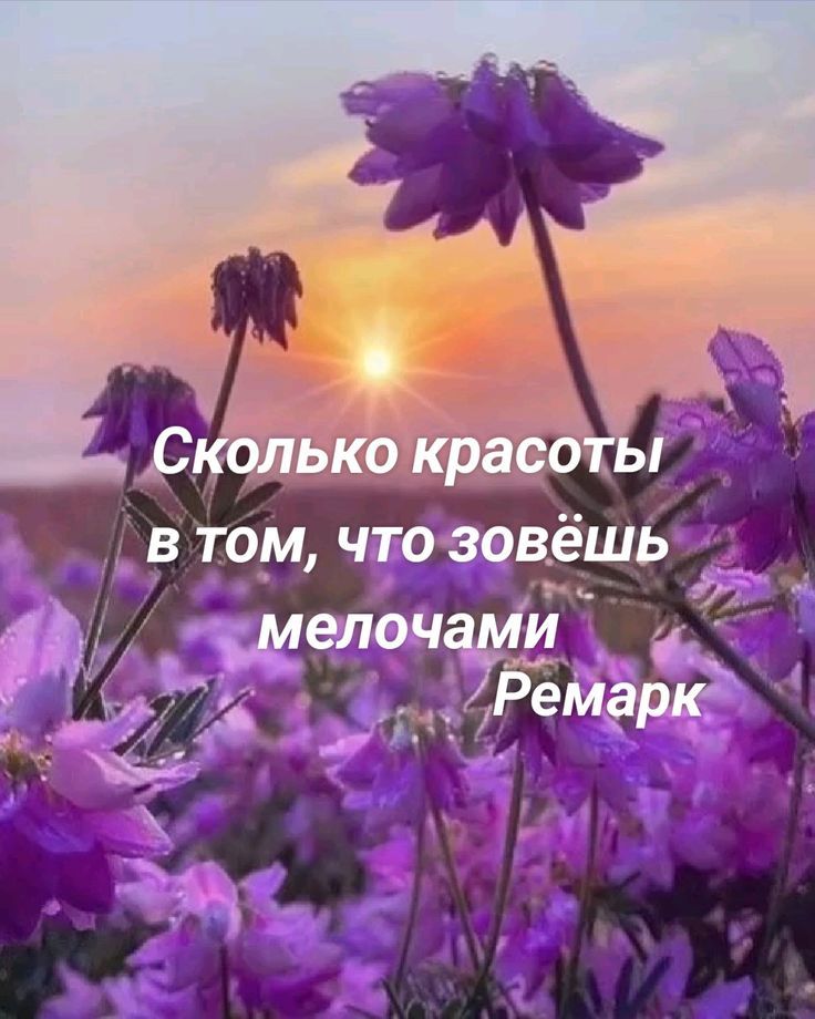 Сколько красоты
в том, что зовёшь
мелочами
Ремарк