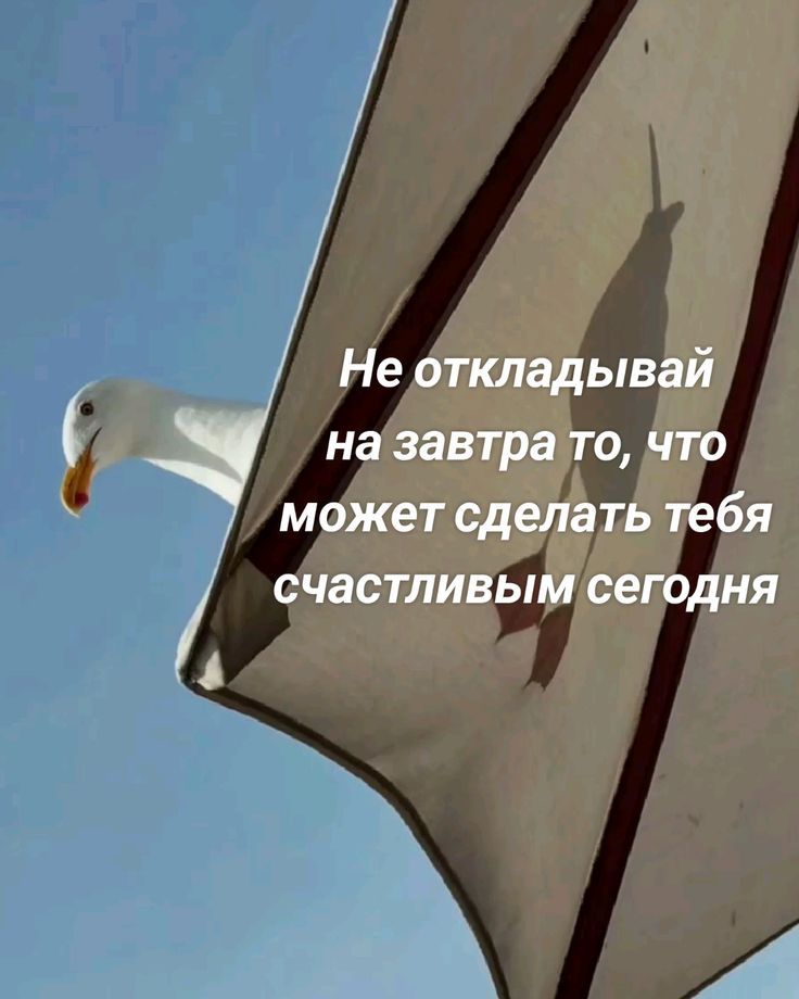 Не откладывай на завтра то, что может сделать тебя счастливым сегодня