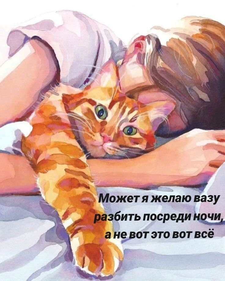 Может я хочу вазу разбить посреди ночи, а не вот это вот всё
