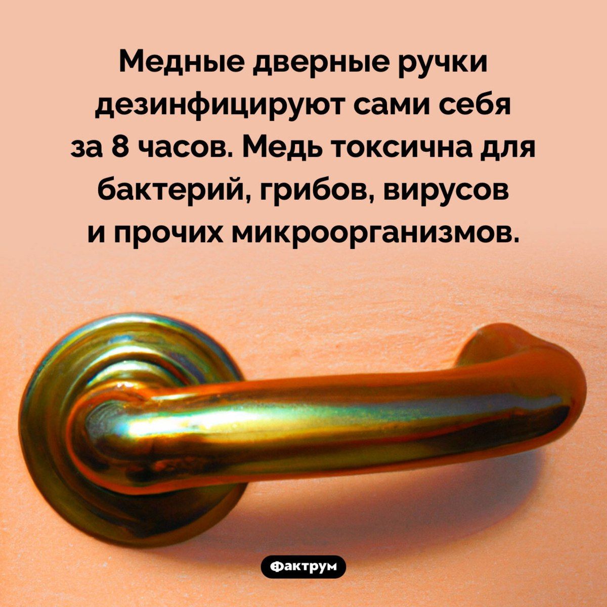 Медные дверные ручки дезинфицируют сами себя за 8 часов. Медь токсична для бактерий, грибов, вирусов и прочих микроорганизмов.