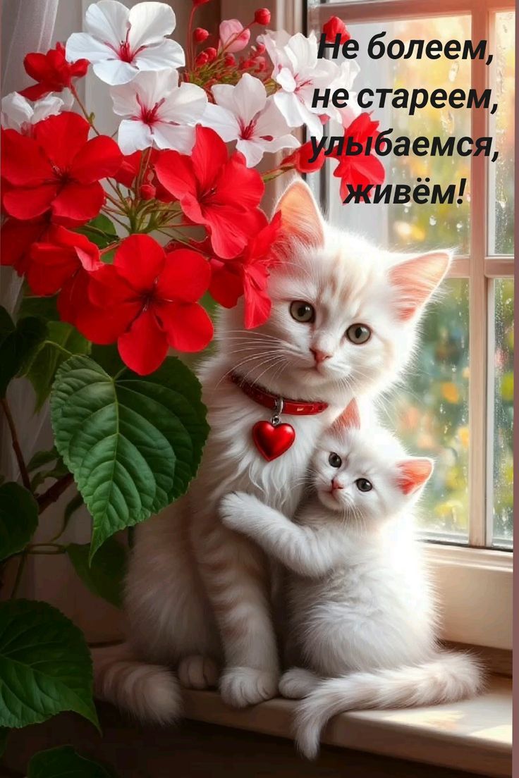 Не болеем, не стареем, улыбаемся, живём!