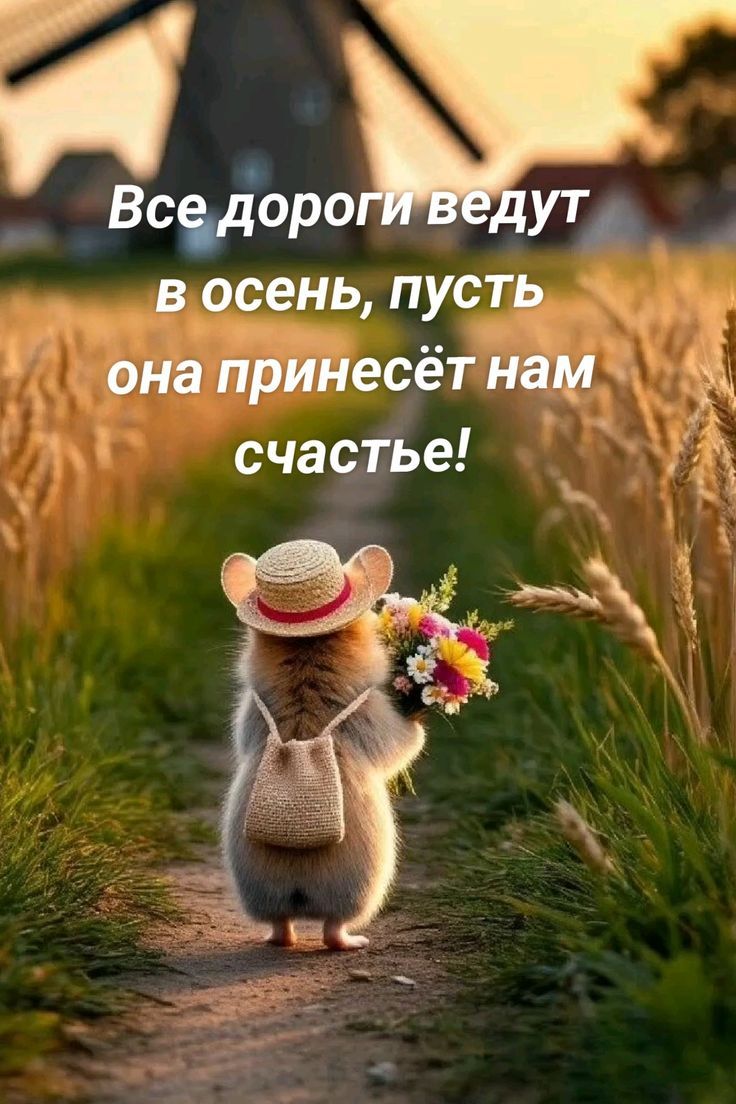 Все дороги ведут в осень, пусть она принесёт нам счастье!