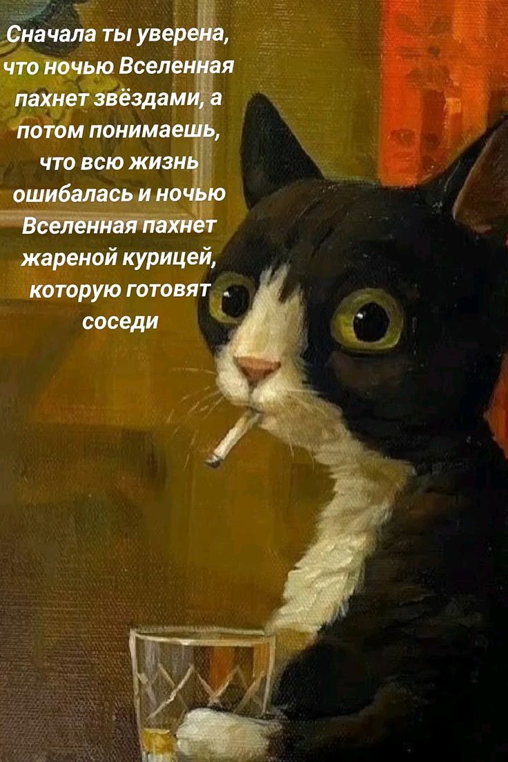 Сначала ты уверена, что ночью Вселенная пахнет звёздами, а потом понимаешь, что всю жизнь ошибалась и ночью Вселенная пахнет жареной курицей, которую готовят соседи