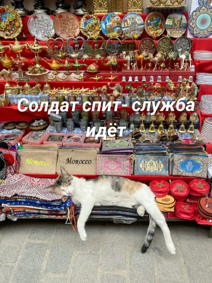 Солдат спит- служба идёт