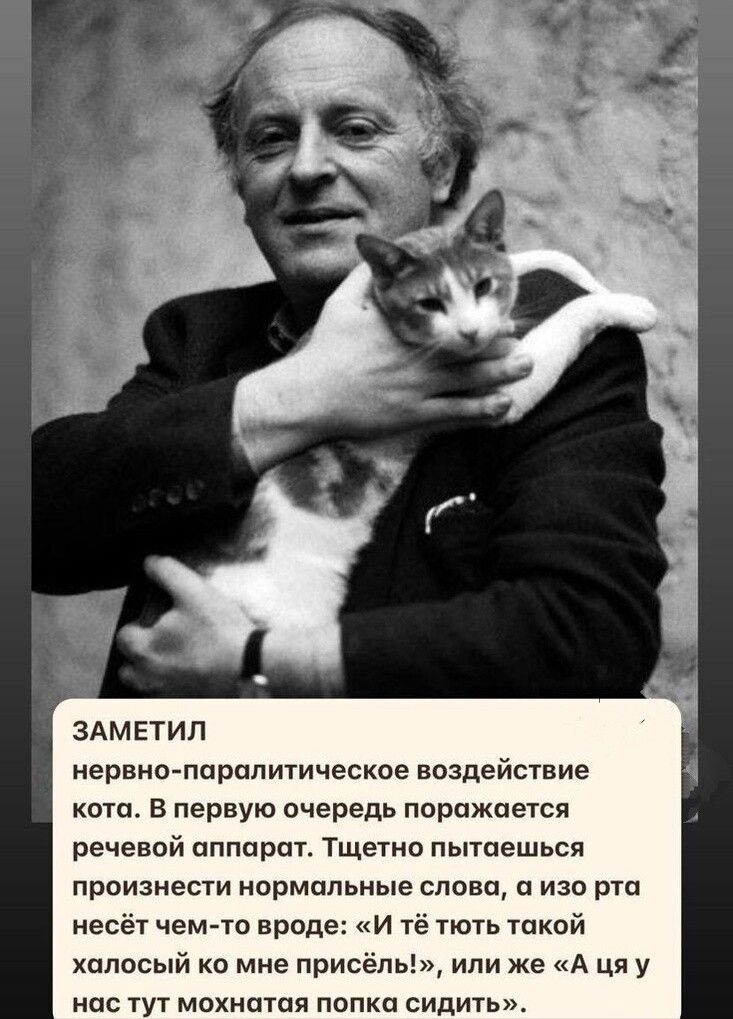 ЗАМЕТИЛ
нервно-паралитическое воздействие кота. В первую очередь поражается речевой аппарат. Щетно пытаешься произнести нормальные слова, а изо рта несёт чем-то вроде: «И тё тть такой хаолосый ко мне присьль!», или же «А ця у нас тут мохната попка сидить».