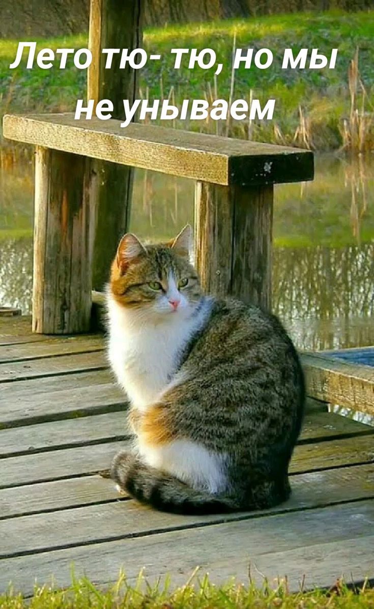 Лето тю- тю, но мы не унываем