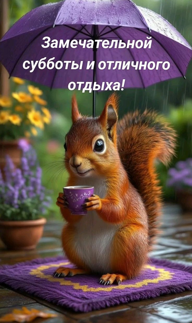 Замечательной субботы и отличного отдыха!