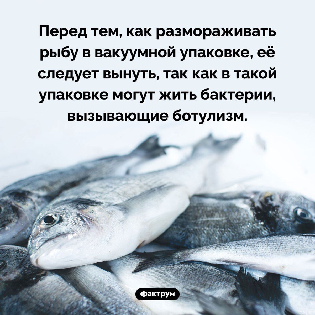 Перед тем, как размораживать рыбу в вакуумной упаковке, её следует вынуть, так как в такой упаковке могут жить бактерии, вызывающие ботулизм.