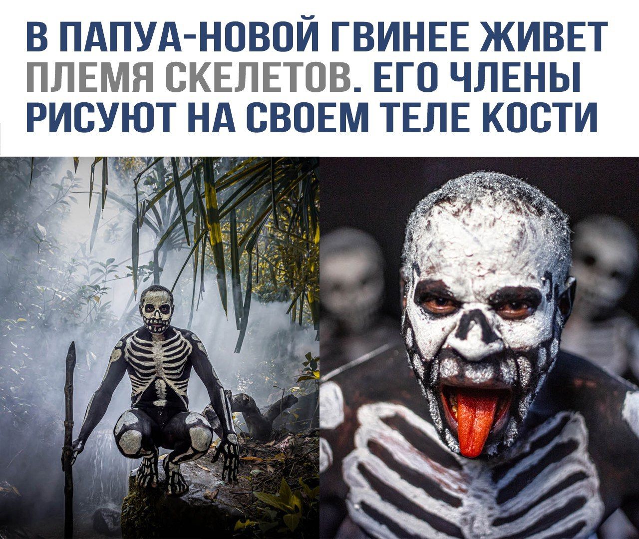 В Папуа-Новой Гвинее живет племя скелетов. Его члены рисуют на своем теле кости