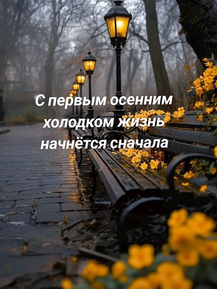 С первым осенним холодком жизнь начнется сначала