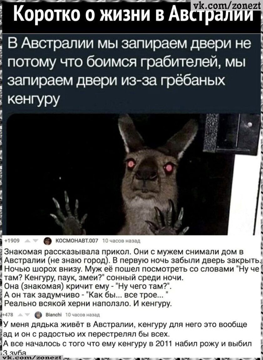 Коротко о жизни в Австралии

В Австралии мы запираем двери не потому что боимся грабителей, мы запираем двери из-за грёбаных кенгуру

Знакомая рассказывала прикол. Они с мужем снимали дом в Австралии (не знаю город). В первую ночь забыли двери закрыть. Ночью шорох вне, муж еë пошёл посмотреть со словами 