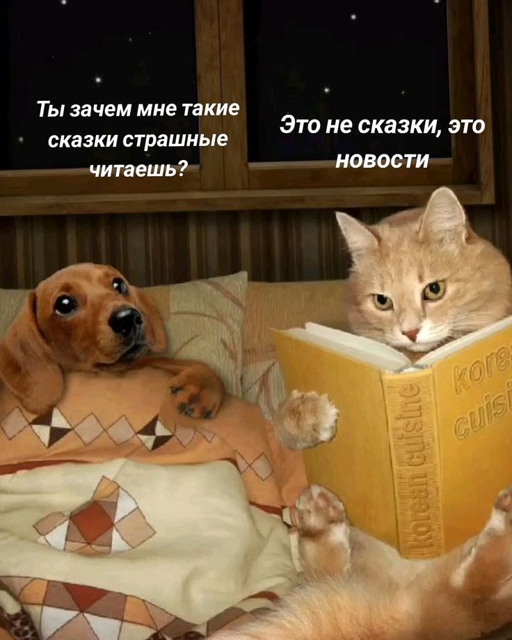 Ты зачем мне такие сказки страшные читаешь? Это не сказки, это новости.