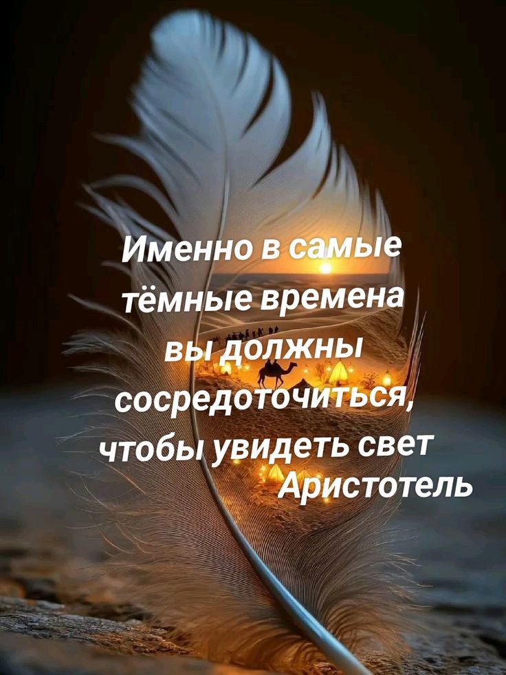 Именно в самые тёмные времена вы должны сосредоточиться, чтобы увидеть свет Арістотель