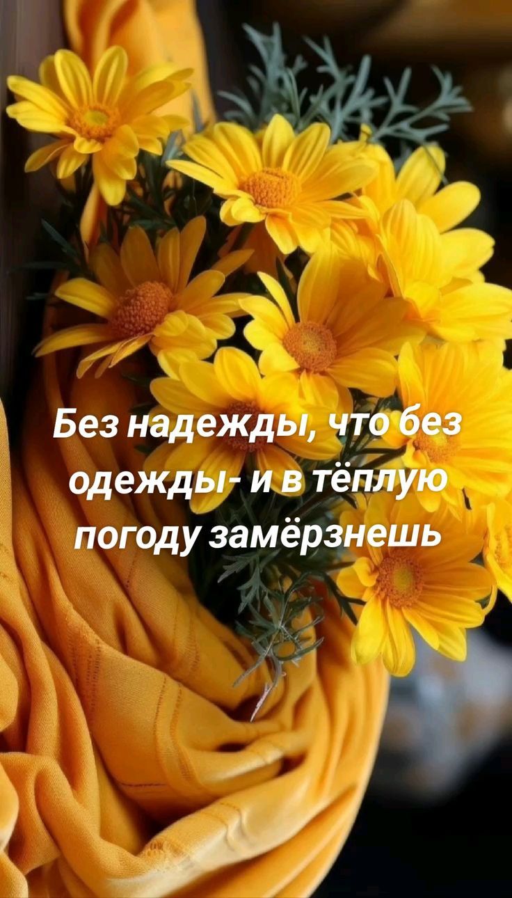 Без надежды, что без одежды- и в тёплую погоду замёрзнешь