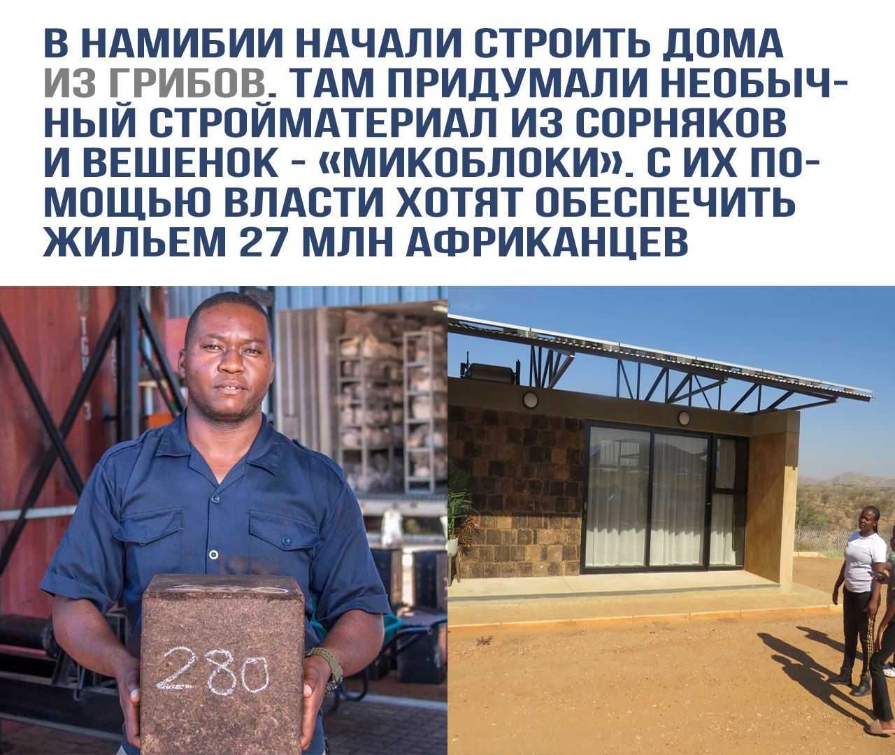 В НАМИБИИ НАЧАЛИ СТРОИТЬ ДОМА ИЗ ГРИБОВ. ТАМ ПРИДУМАЛИ НЕОБЫЧНЫЙ СТРОЙМАТЕРИАЛ ИЗ СОРНЯКОВ И ВЕШЕНОК - «МИКОбЛОКИ». С ИХ ПОМОЩЬЮ ВЛАСТИ ХОТЯТ ОБЕСПЕЧИТЬ ЖИЛЬЕМ 27 МЛН АФРИКАНЦЕВ