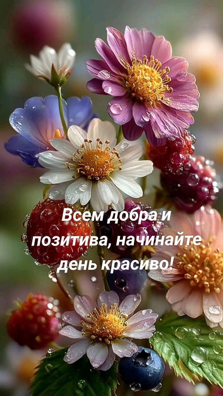 Всем добра и позитива, начинайте день красиво!