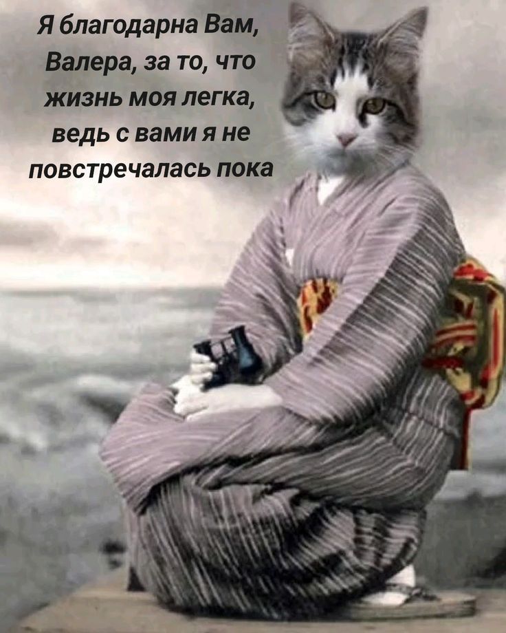 Я благодарна Вам, Валера, за то, что жизнь моя легка, ведь с вами я не повстречалась пока