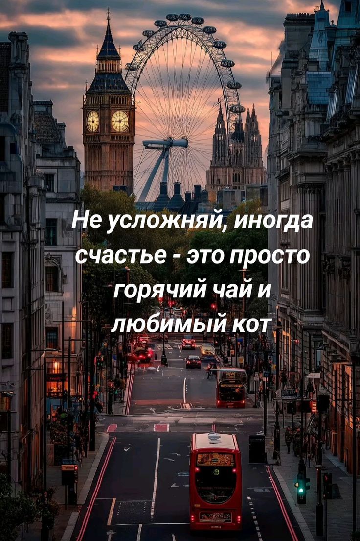 Не усложняй, иногда счастье - это просто горячий чай и любимый кот