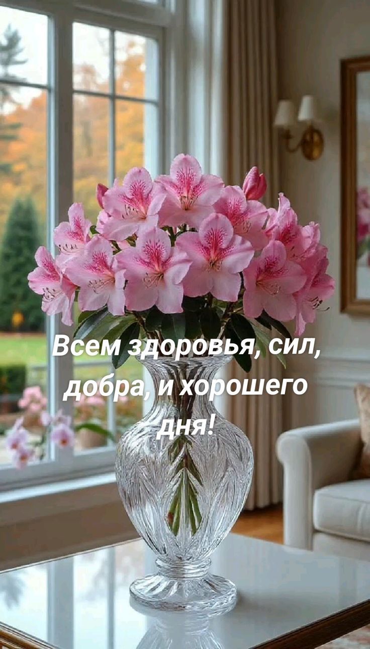 Всем здоровья, сил, добра, и хорошего дня!