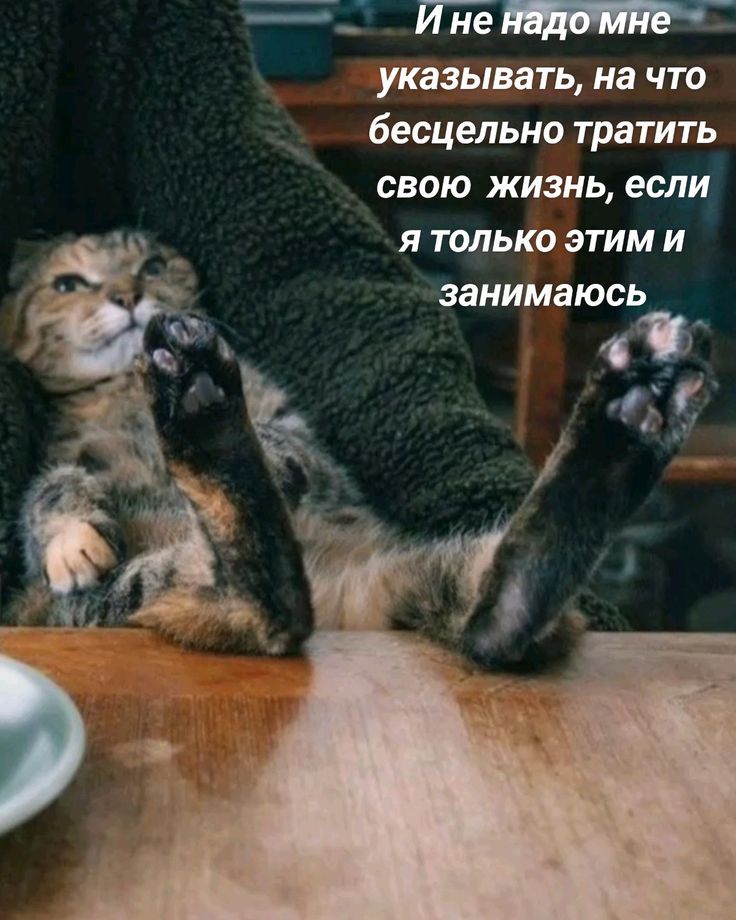 И не надо мне указывать, на что бесцельно тратить свою жизнь, если я только этим и занимаюсь