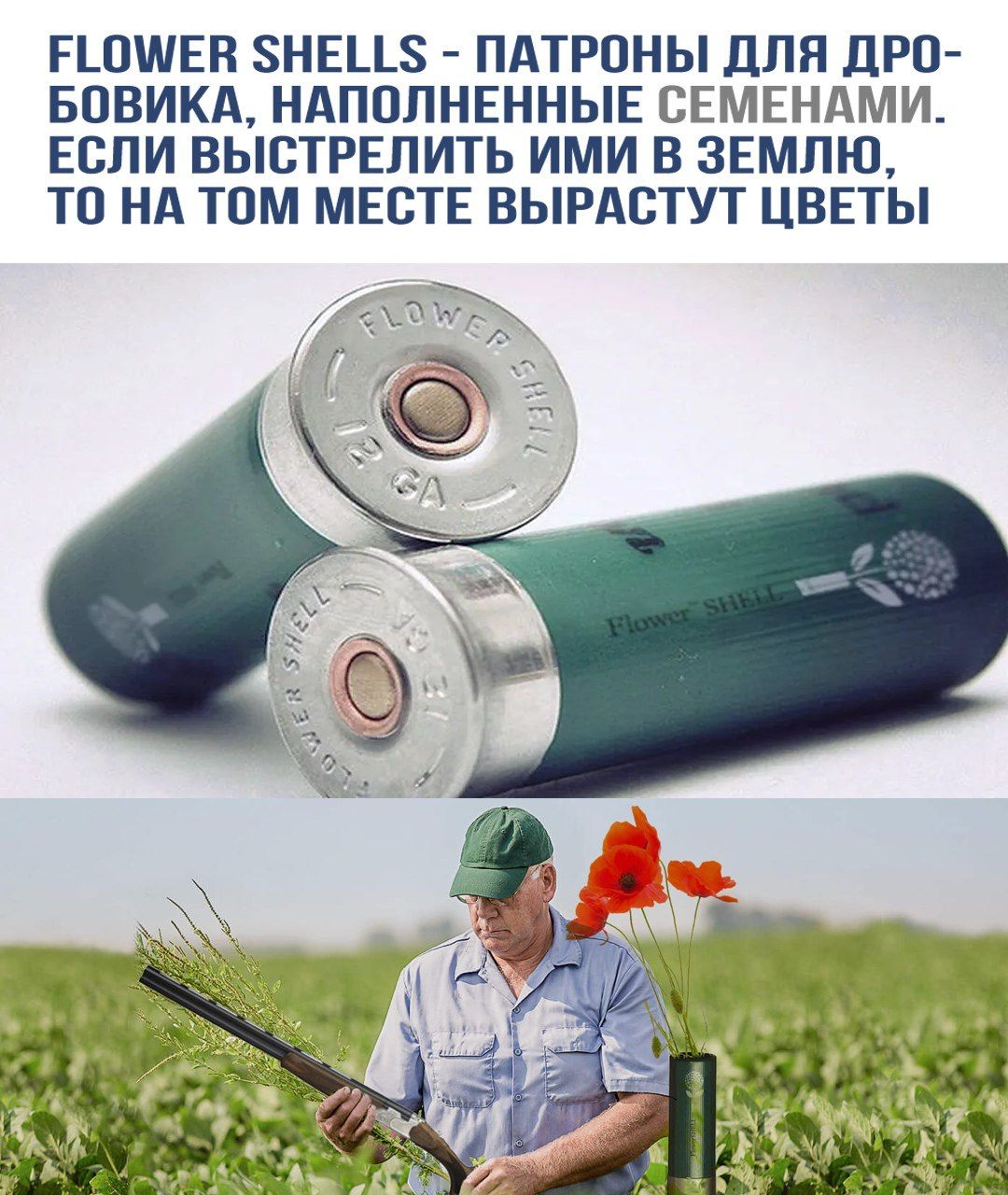 FLOWER SHELLS - ПАТРОНЫ ДЛЯ ДРОБОВИКА, НАПОЛНЕННЫЕ СЕМЕНАМИ. ЕСЛИ ВЫСТРЕЛИТЬ ИМИ В ЗЕМЛЮ, ТО НА ТОМ МЕСТЕ ВЫРАСТУТ ЦВЕТЫ