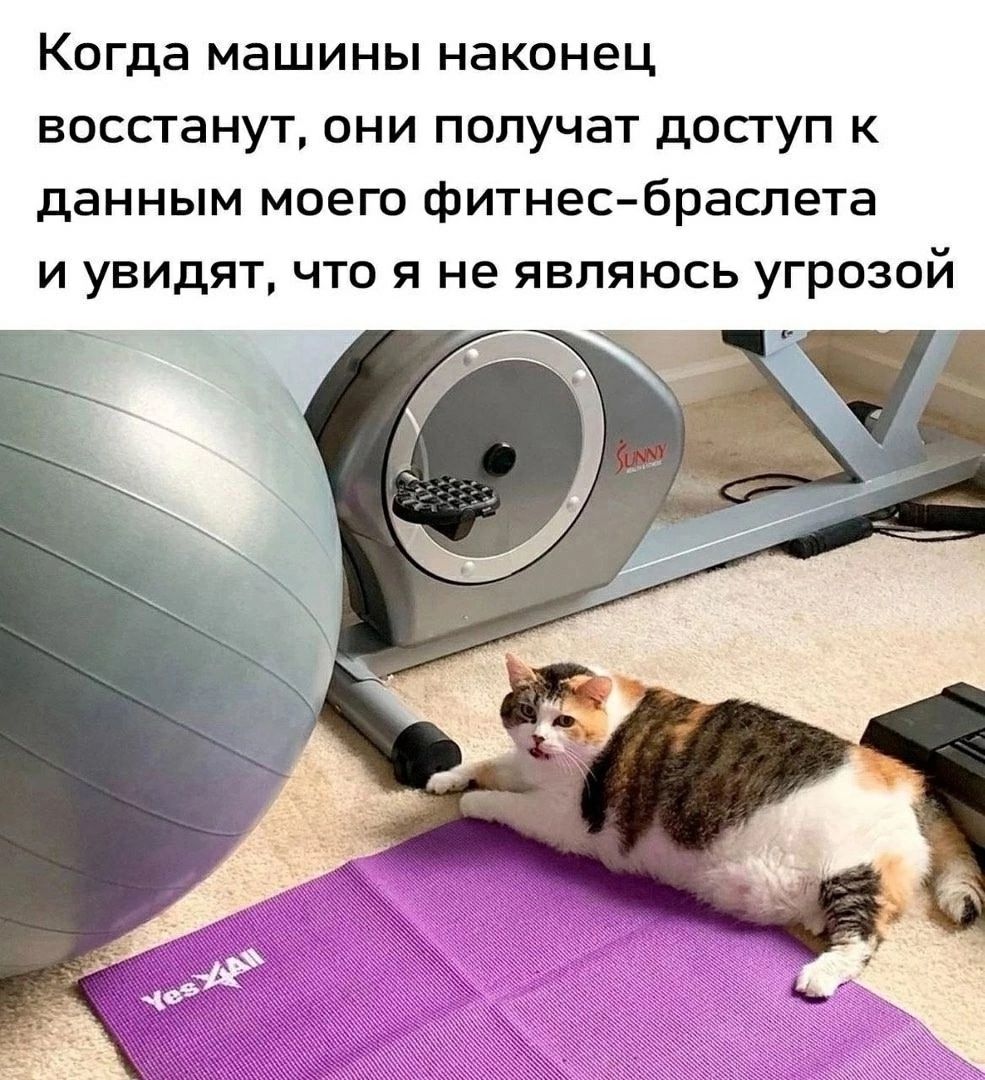 Когда машины наконец воскреснут, они получат доступ к данным моего фитнес-браслета и увидят, что я не являюсь угрозой