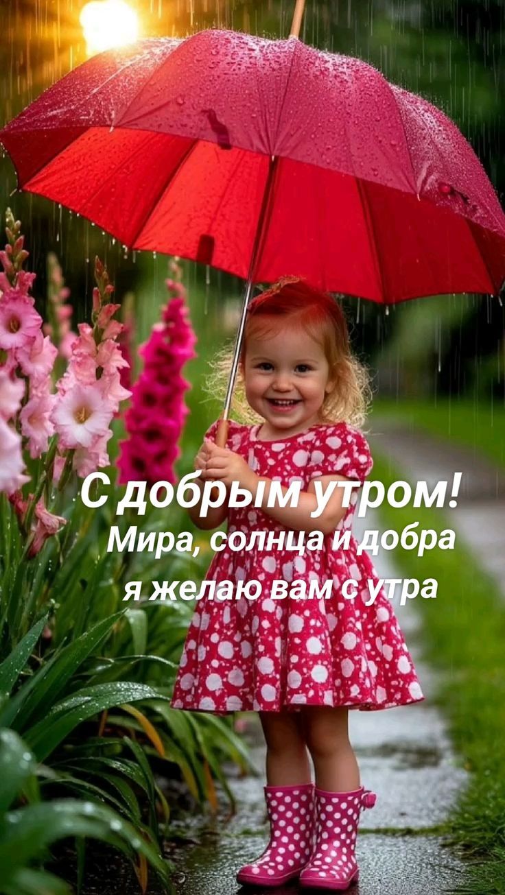С добрым утром! Мира, солнца и добра я желаю вам с утра