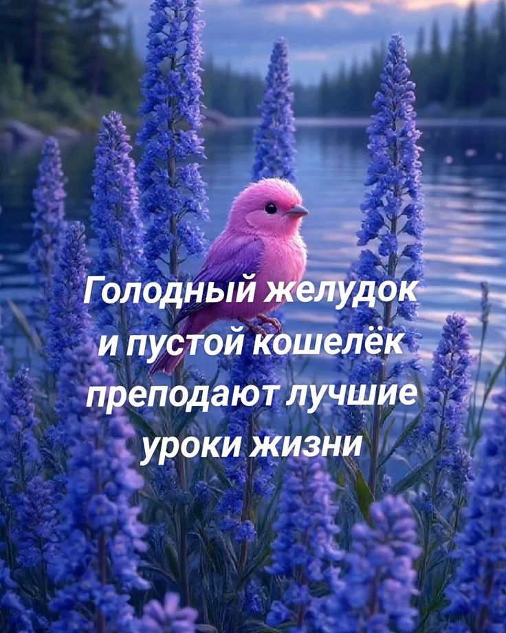 Голодный желудок и пустой кошелёк преподают лучшие уроки жизни